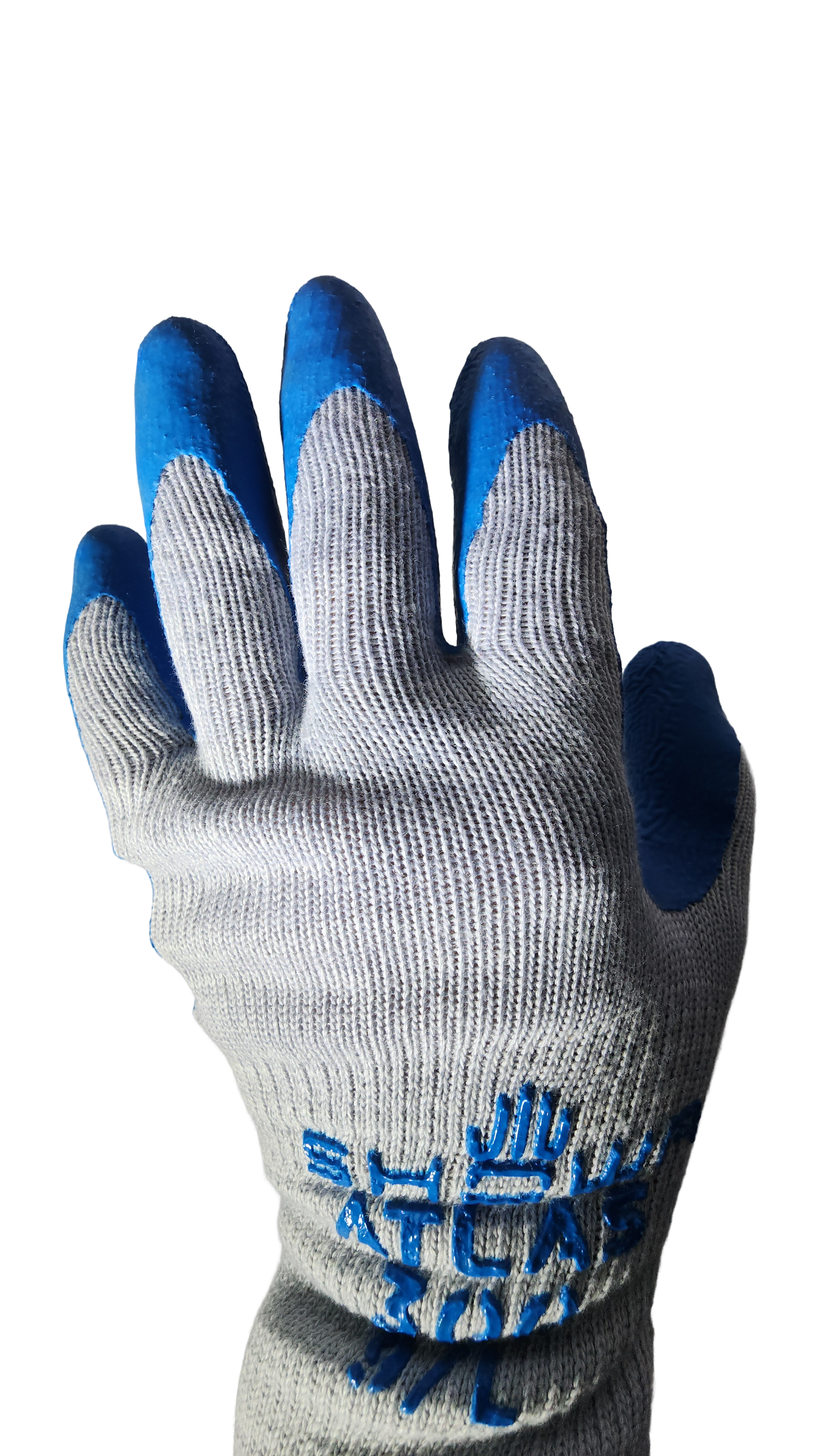 Atlas 300 Latex Glove