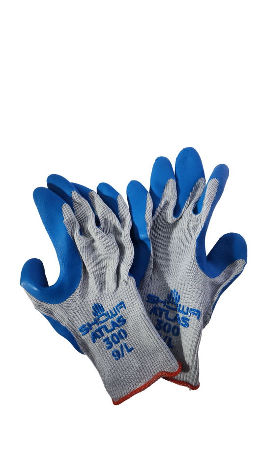Atlas 300 Latex Glove