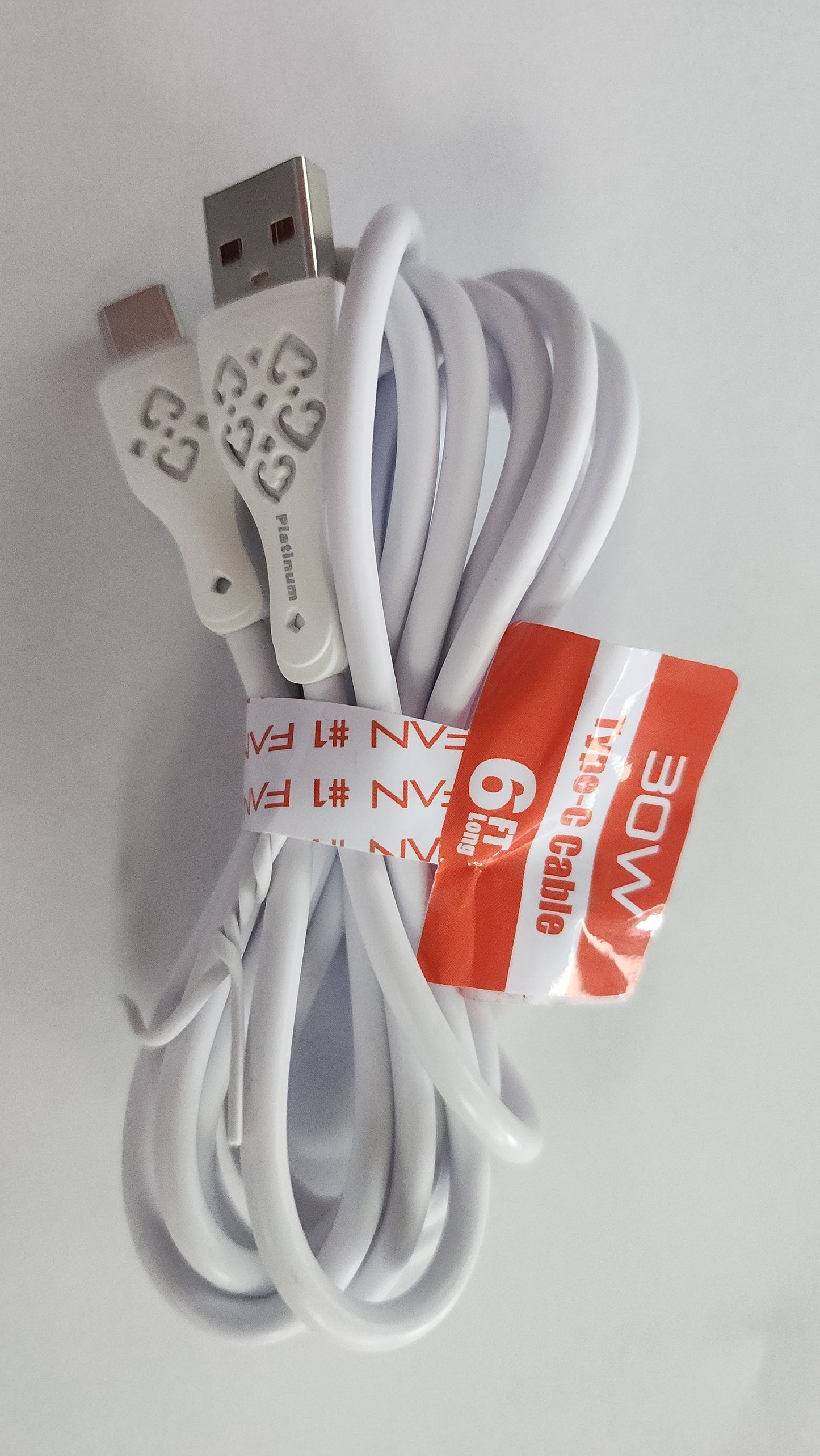 Type C Cable 6 feet 30W